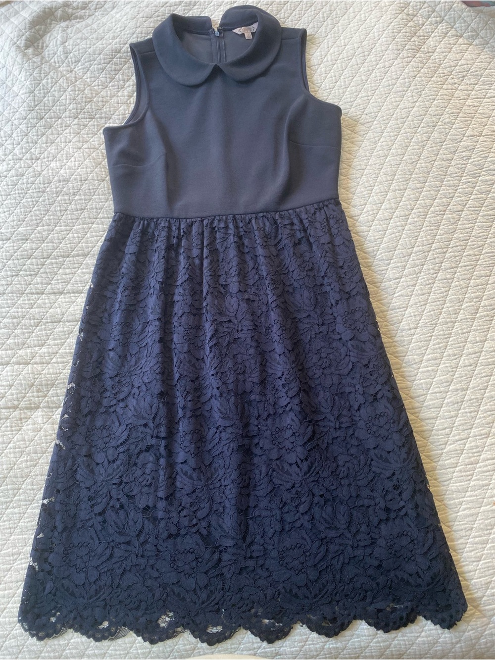 Nanette Lepore Navy Lace Midi Dress with Peter Pan Collar Scalloped Hem Preppy 8